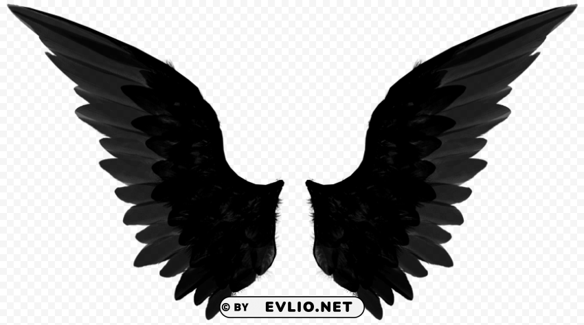 black wings Clear Background PNG Isolation clipart png photo - 388c81fe