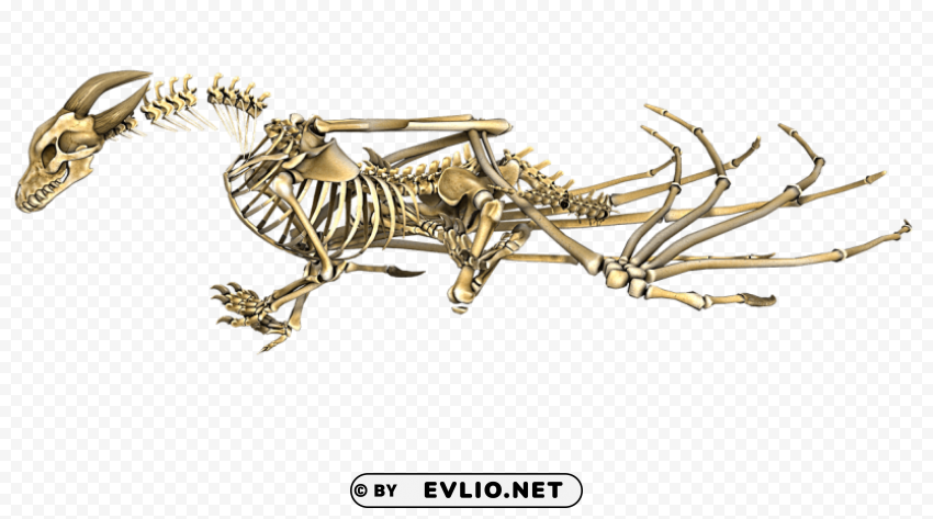 dragon horned skeleton PNG clipart with transparency