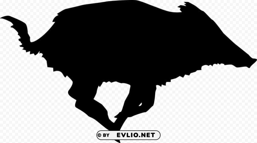 boar Isolated Graphic with Clear Background PNG