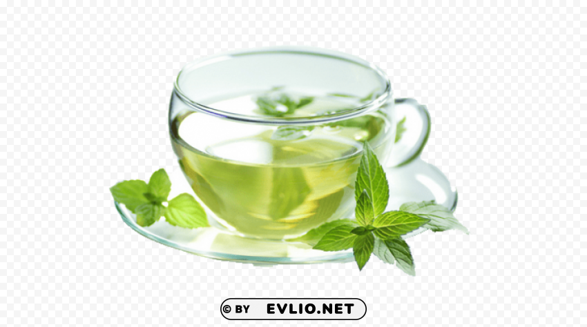Green Tea PNG Graphic With Isolated Clarity
