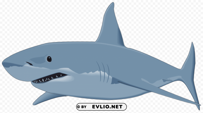 Shark Image Clear Background PNG Images Diverse Assortment