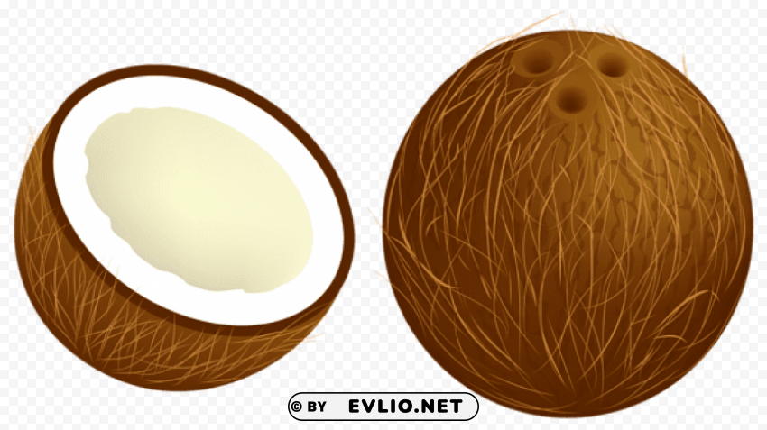 coconut vector Clear Background PNG Isolated Graphic Design