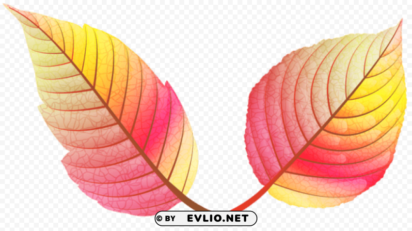 colorful fall leaves Isolated Item on Clear Transparent PNG