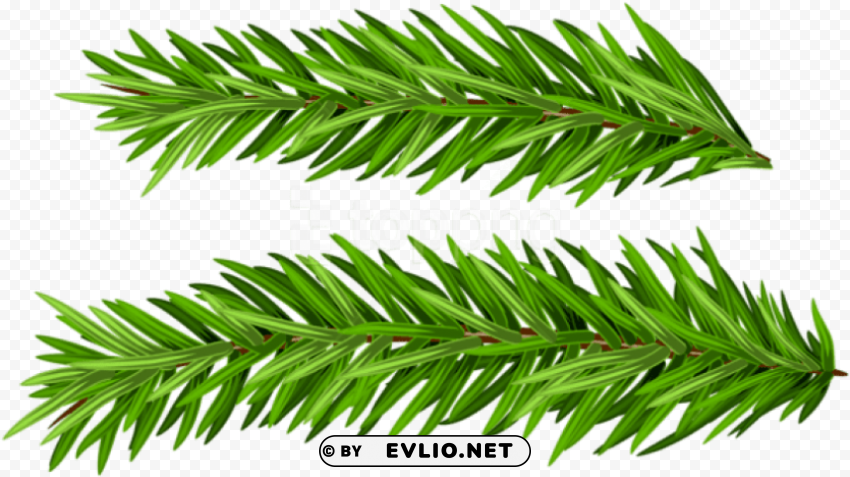 free pine branches set images transparent - christmas tree Clear Background PNG Isolated Element Detail