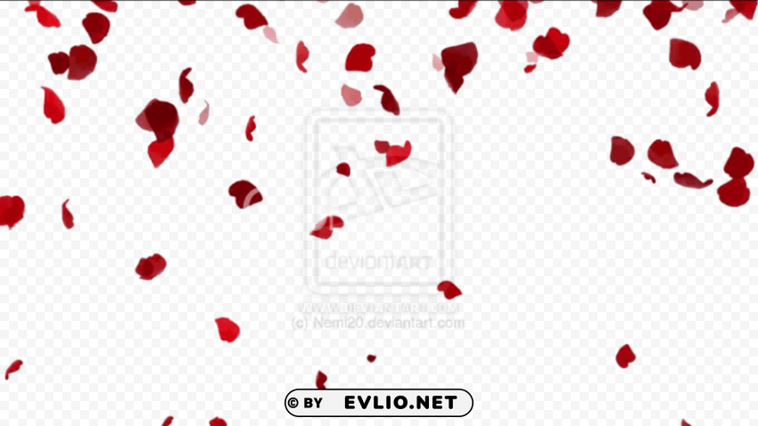 animated gif rose petals falling Transparent Background Isolation in PNG Format