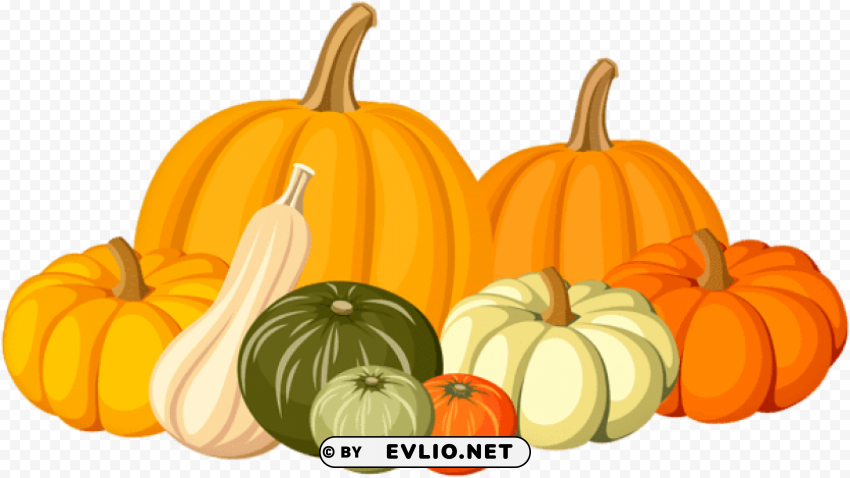 autumn pumpkins Isolated Subject in Transparent PNG Format
