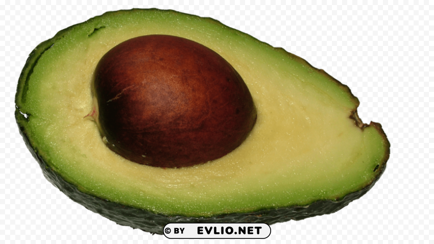avocado PNG free download transparent background