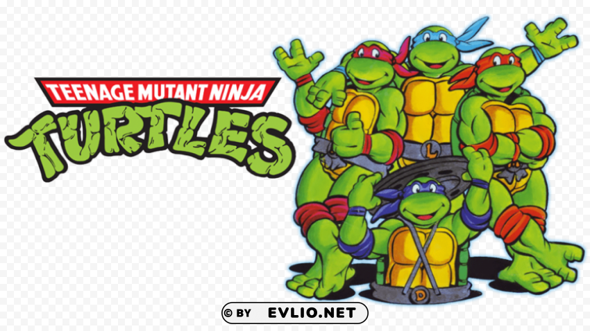 ninja tutles Isolated Item on Clear Background PNG