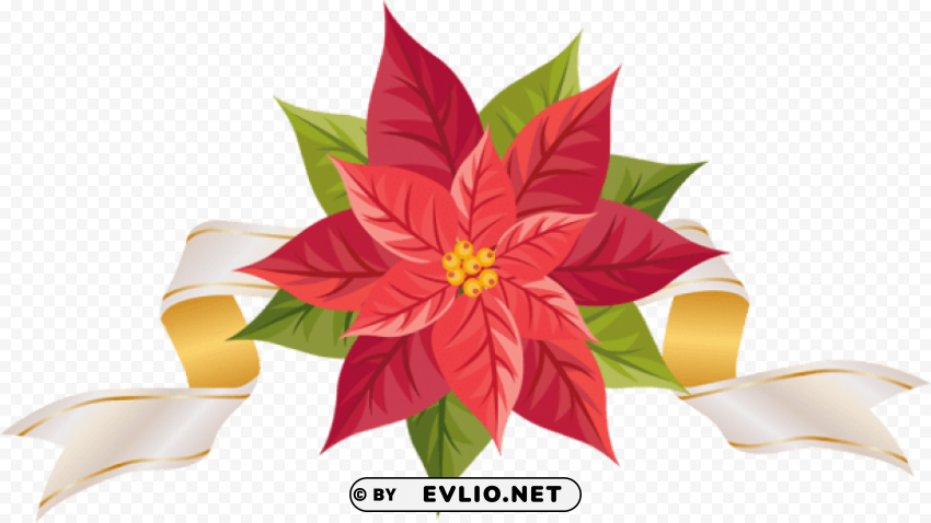 poinsettia with ribbon PNG images with transparent canvas compilation