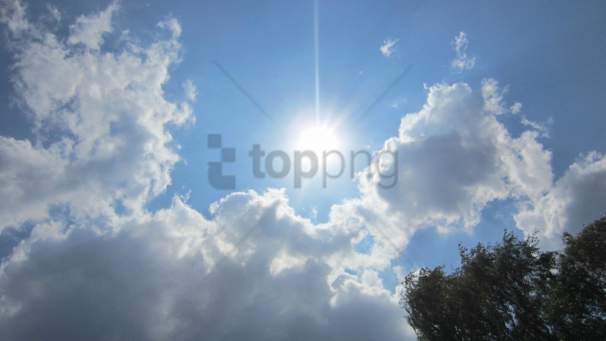 real sun lens flare Isolated Item with Clear Background PNG