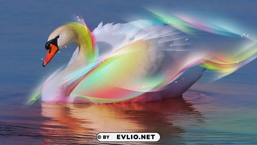Swan Transparent PNG Artworks For Creativity