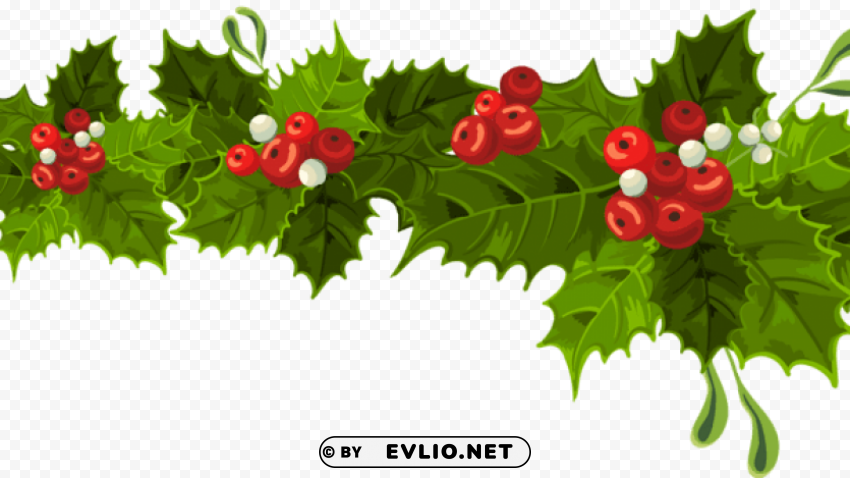 transparent christmas long mistletoe decoration Clear Background PNG Isolated Subject