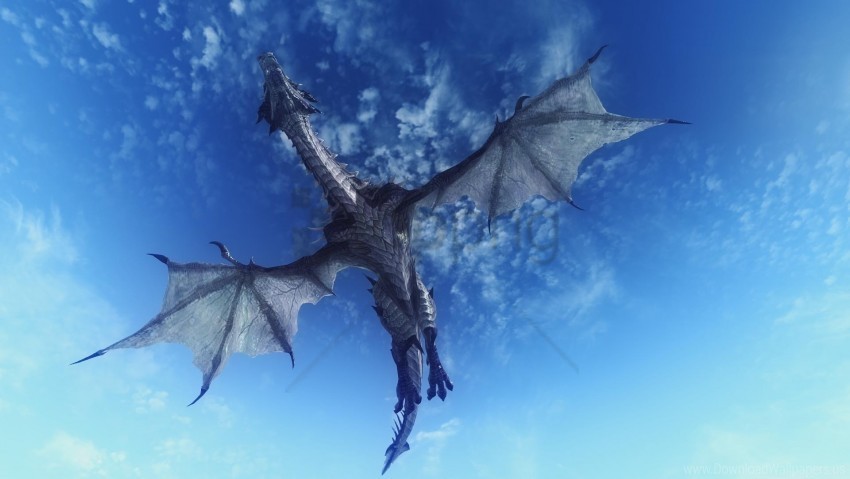 3d dragon flying sky wallpaper PNG images with transparent elements pack