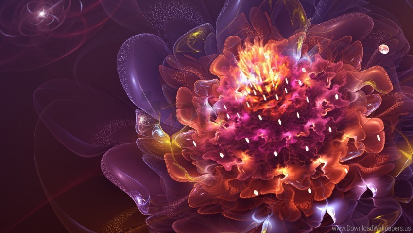 Abstract Flower Wallpaper PNG Images For Advertising