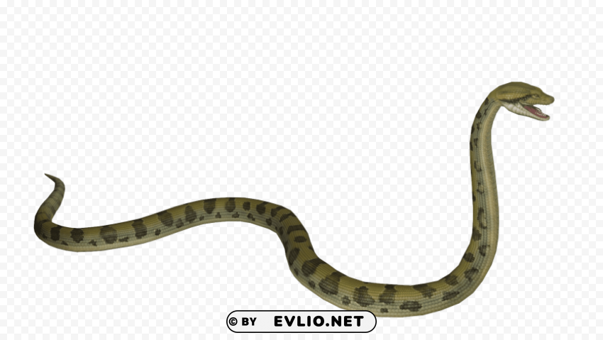 Anaconda S PNG Transparent Artwork