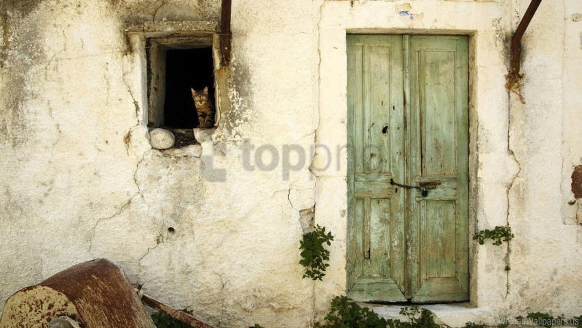 barn cat door old wallpaper Clear PNG images free download