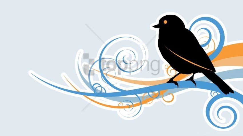 beak bird black branch wallpaper Clean Background Isolated PNG Graphic Detail