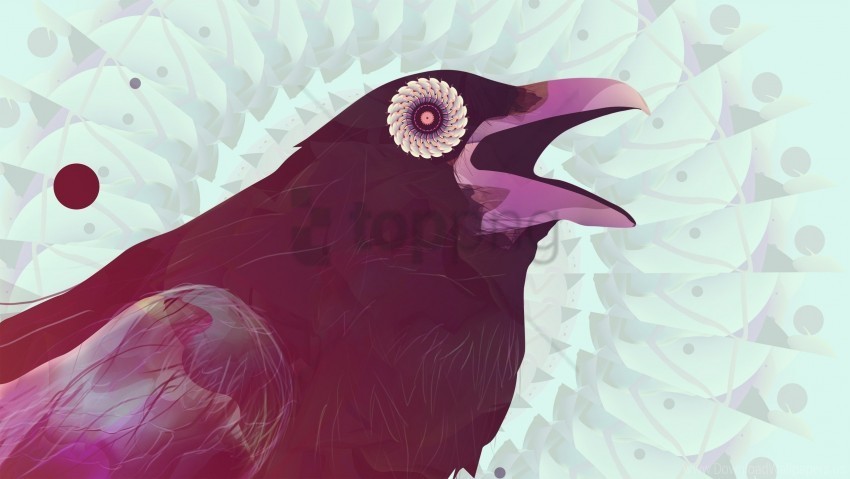 beak bird raven wallpaper PNG images transparent pack