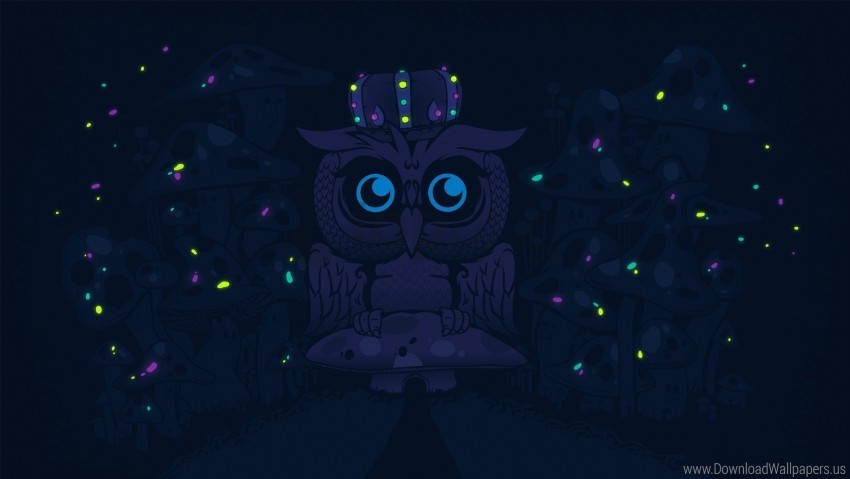 bird black owl predator wallpaper PNG images with transparent canvas compilation