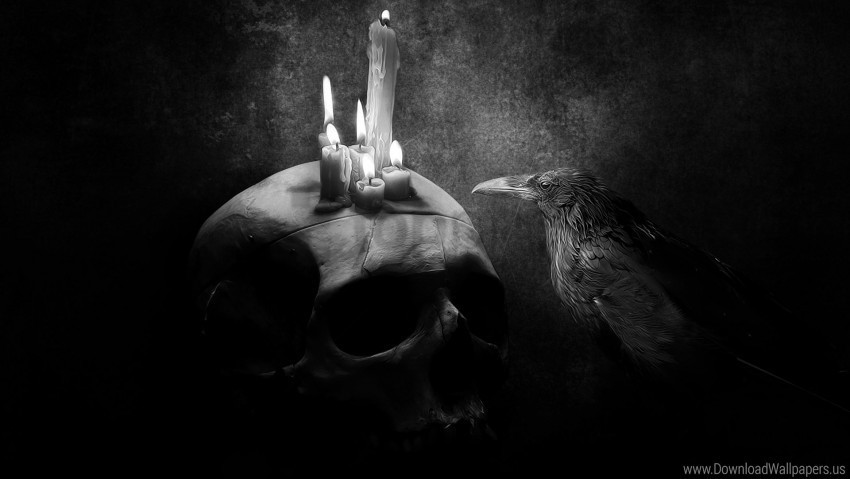 bird candle crow drawing skull wallpaper Clear Background PNG Isolated Illustration