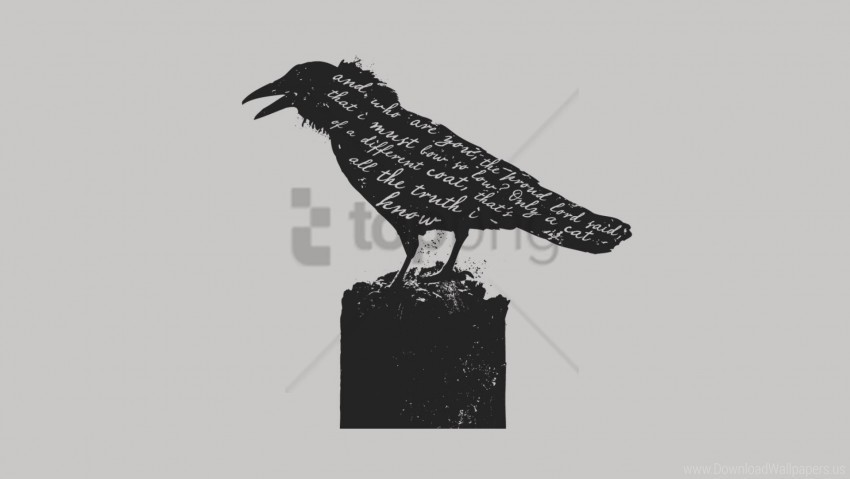 bird crow letters wallpaper PNG files with clear background variety