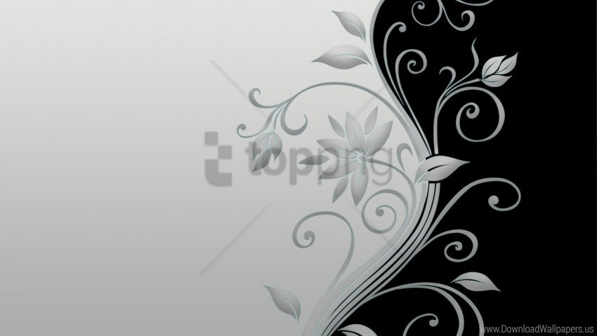 black flower stalk white wallpaper Transparent Background Isolated PNG Item