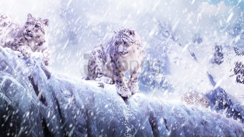 blizzard breaking leopard snow wallpaper Transparent Background Isolated PNG Art