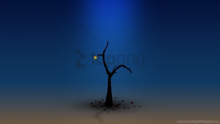 blue dark lonely orange tree wallpaper High-resolution transparent PNG images set