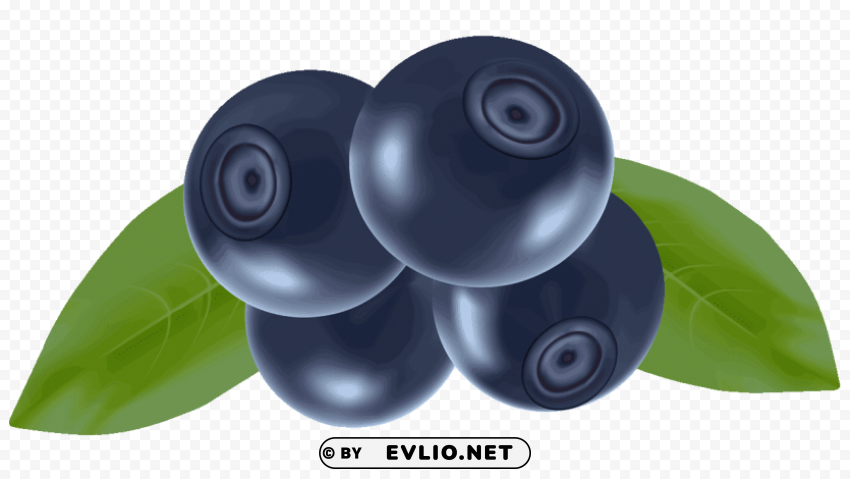 blueberries Transparent Background PNG Object Isolation clipart png photo - 4f68e490