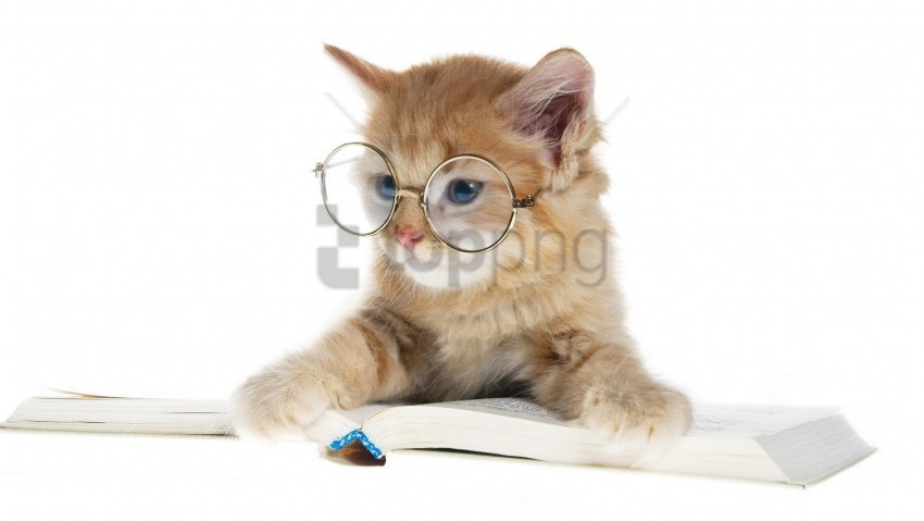book cat round glasses wallpaper Isolated Illustration in HighQuality Transparent PNG