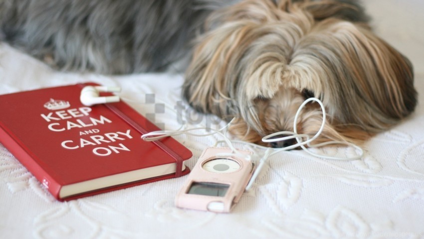 book dogs player sleep wallpaper Free PNG images with alpha channel compilation
