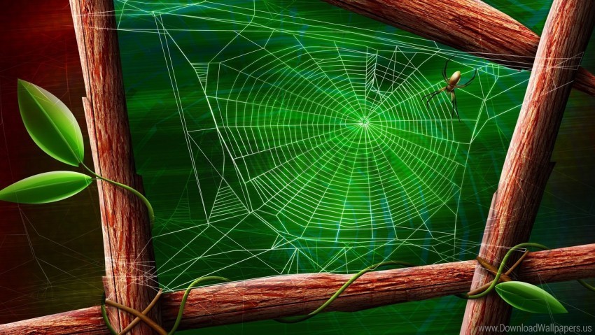 branches cobwebs leaves spider wood wallpaper PNG with Isolated Object and Transparency