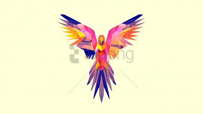 bright color drawing parrot vector wallpaper Isolated Item on Transparent PNG Format