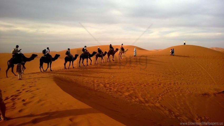 camels caravan desert dune safaris wallpaper Isolated Item with Clear Background PNG