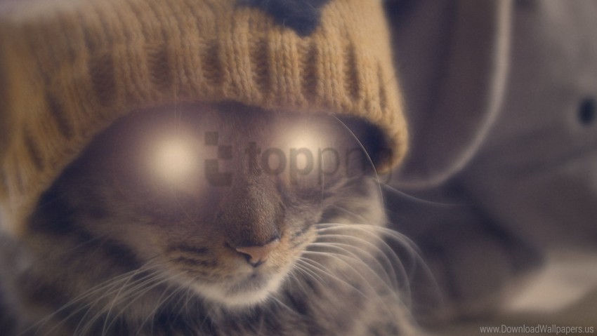 cat eyes face glow hat wallpaper PNG objects