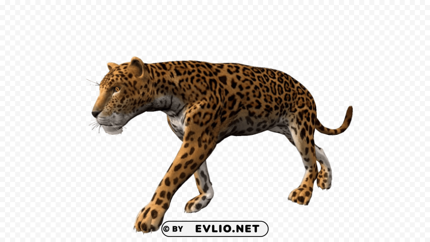 cheetahpng Isolated Element in HighQuality PNG png images background - Image ID d7474797