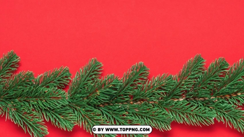 Christmas Aesthetic Red & Green Pine Branches Wallpaper PNG images with transparent canvas variety