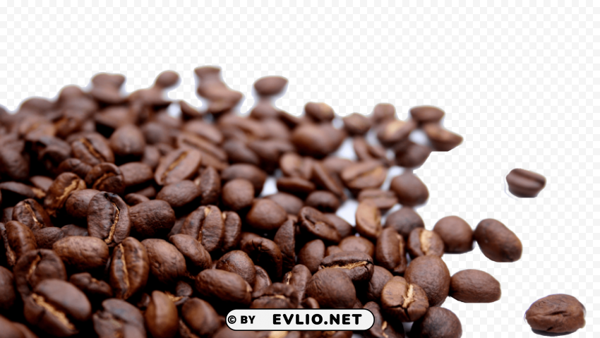 coffee beans wallpaper PNG with Isolated Transparency