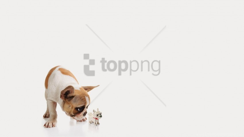 dog puppy toy wallpaper Isolated Object with Transparency in PNG