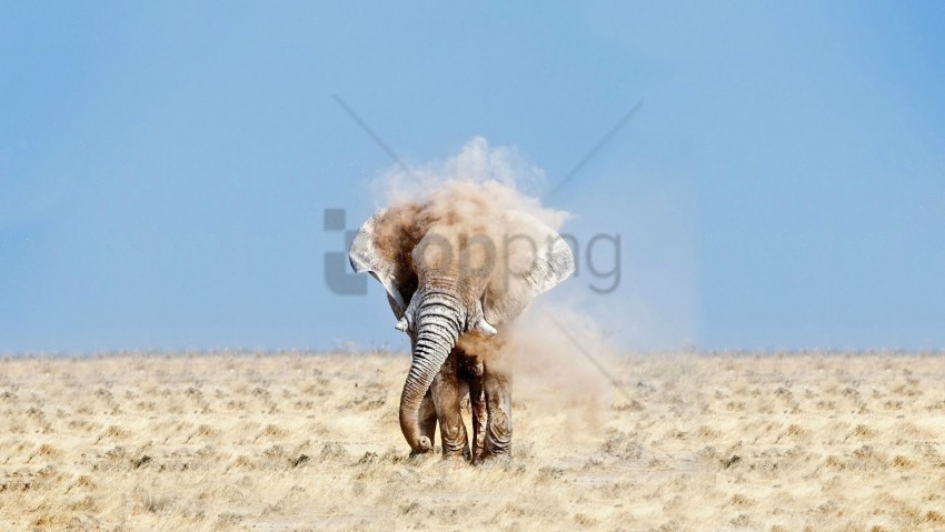 dust elephant sand sky wallpaper PNG files with no royalties