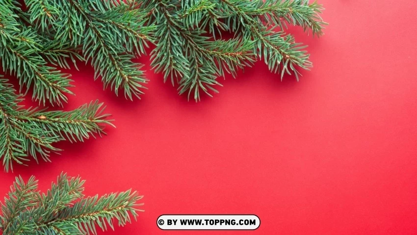 Festive Christmas Wallpaper Red & Green Pine Branches PNG images with transparent canvas