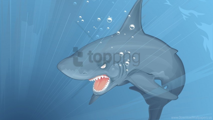 Fish Predators Shark Under Water Wallpaper PNG Image With Transparent Isolation