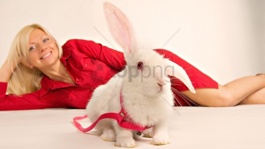 girl ornamental rabbit sit wallpaper Transparent PNG images database