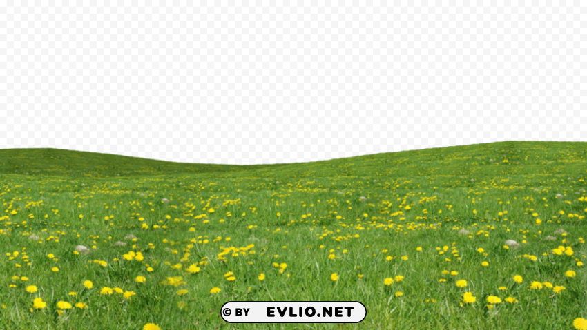 grass download PNG images with no attribution