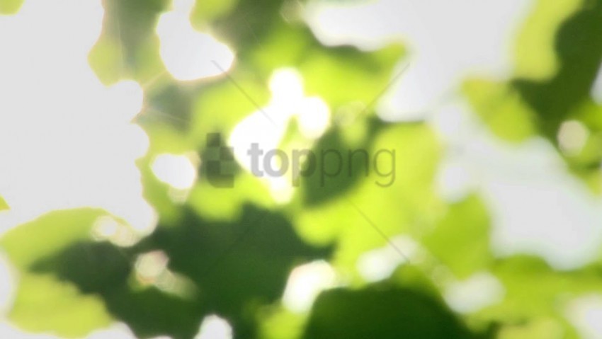 green lens flare hd Isolated Item on HighResolution Transparent PNG
