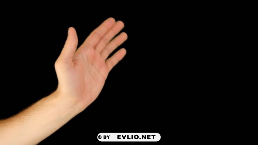 hands Transparent background PNG images selection