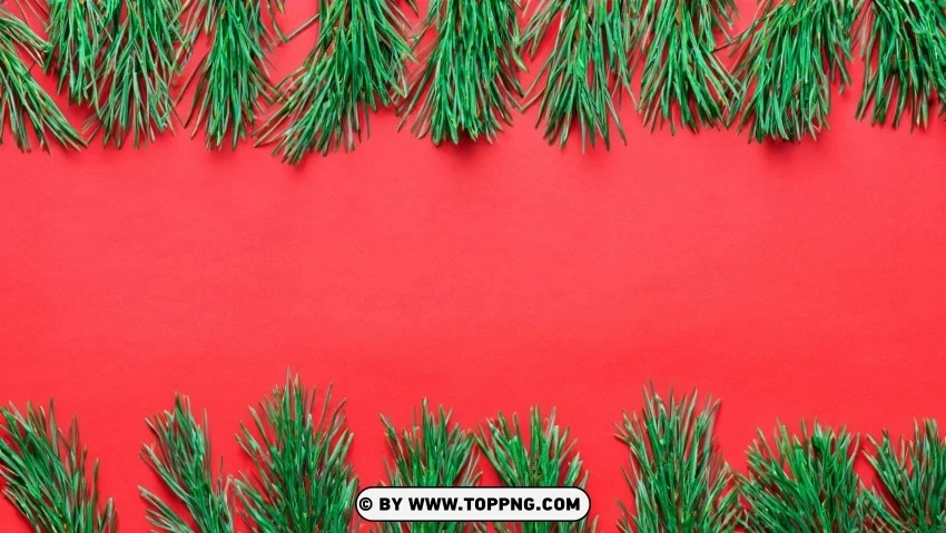 Holiday-Themed Wallpaper Red and Green Pine Branches Isolated Element on Transparent PNG
