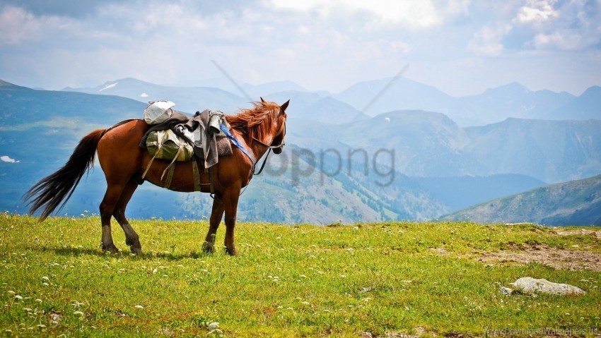 horse mountains saddle wallpaper Isolated Character on Transparent Background PNG
