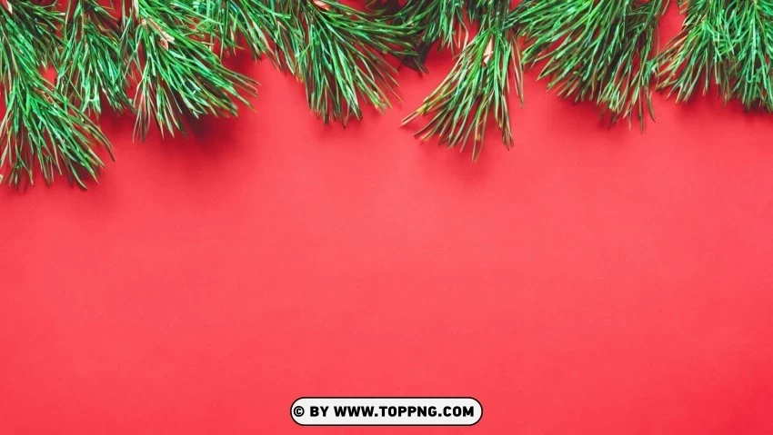 Joyful Holiday Wallpaper Red & Green Pine Branches Isolated Graphic Element in HighResolution PNG