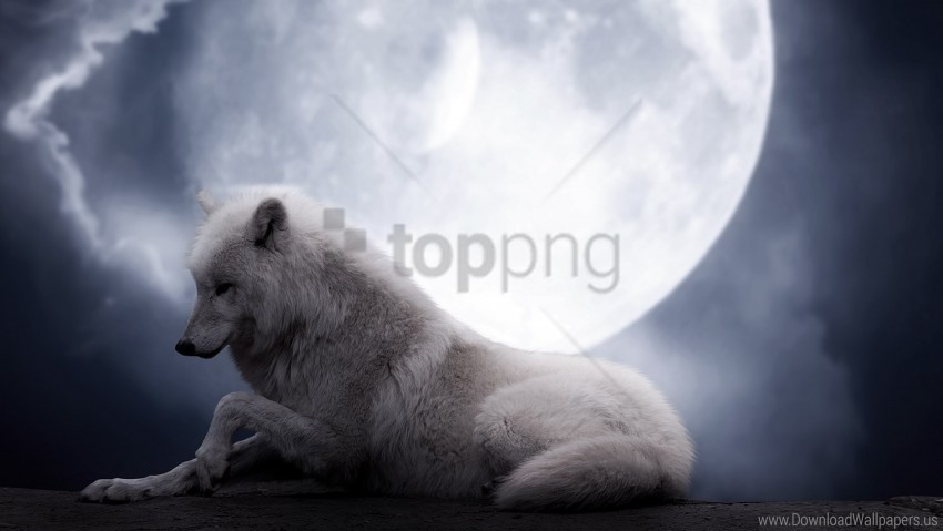 lie moon predator wolf wallpaper PNG images with alpha transparency selection